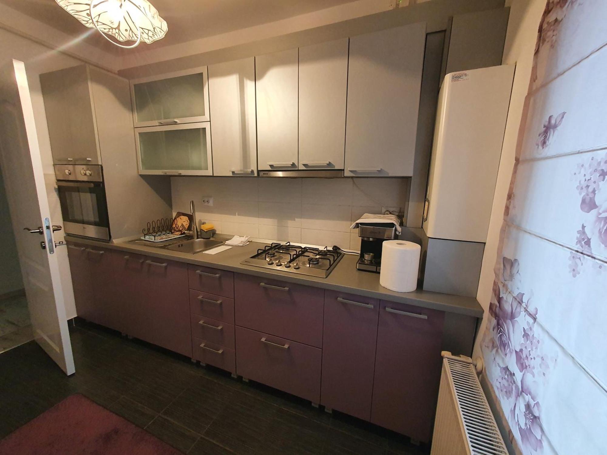 Suceava Apartment 外观 照片